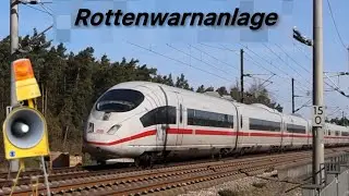 ROTTENWARNANLAGE auf der Schnellfahrstrecke in Aktion!