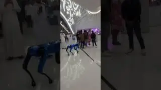 Robotic Dog #robot #robotics #dubai #future #dance #lifeisbutadream #unboxing
