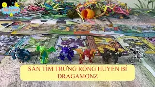 Cuộc săn tìm Trứng rồng và thẻ bài DRAGAMONZ vui vui