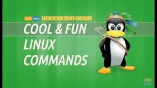 FIGURE OUT HOW TO USE ANY COMMANDS IN LINUX(2021)