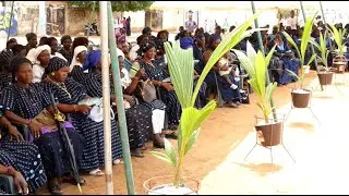 Palm tree plantation in Casamance: Talib&eacute;, president of 3C, welcomes the initiative