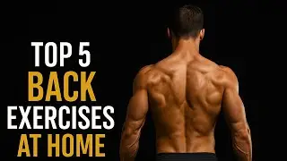 💥 5 TOP Dumbbell Back Exercises at Home (No Gym Needed) #back #backworkout #backexercise #backday