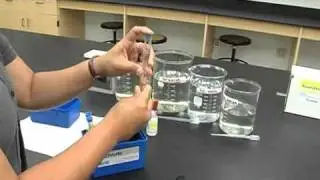 Conservation Water Quality