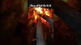 Quy tr&igrave;nh chưng cất tinh dầu t&iacute;a t&ocirc;