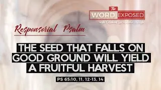 PSALM - The Seed that Falls on Good Ground (Ps65)