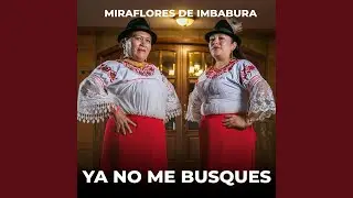 Ya No Me Busques