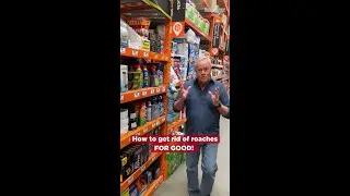 ЛУЧШИЙ способ избавиться от тараканов!