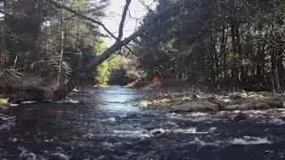Journey Along to Bear Creek Village, Pennsylvania