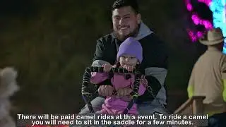 Zoolights Social Story