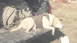 Hunting and Fishing with Clusterf_ck Outdoors