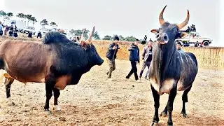 Speed dungkha 🆚 Thohsaw, iadaw masi // iatur masi