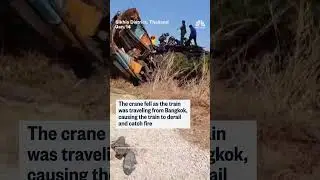 Multiple people were killed after a crane collapsed on a passenger train in Thailand