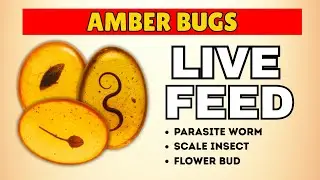 Real Amber with Insects &ndash; Rare Parasite Worm & Praying Mantis
