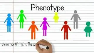 Intro to Soc Unit 3