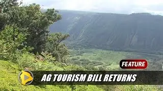 Hawaii Council Takes On Ag Tourism