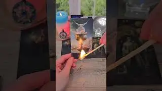 💥🙋‍♂️ Вам сообщение от мужчины 📬📨📲