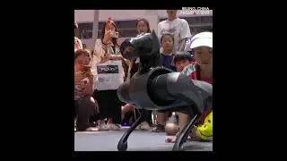 Robot dogs walk, back flip and gesture at World Robot Conference held in Beijing