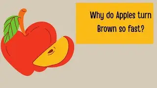 Why do Apples turn brown so fast?