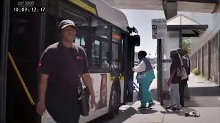 Detroit's Public Transport Chaos