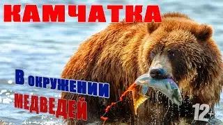 Камчатка. В окружении медведей. Kamchatka. Surrounded by bears. 12+