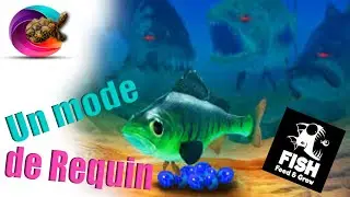 À la découverte de Feed & Grow Fish 🐟🌊