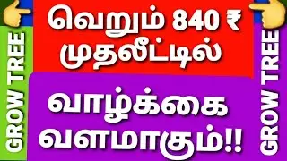 m GROW TREE WHITE BOARD PRESENTATION IN TAMIL