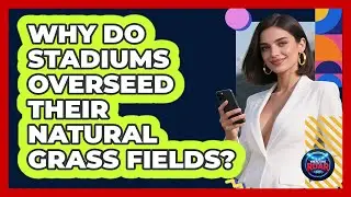 Why Do Stadiums Overseed Their Natural Grass Fields? - Where the Fans Roar
