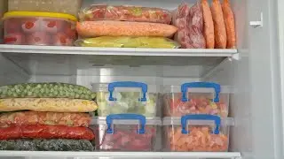 How Long Can You Reuse Plastic Food Containers? Here's What to Know