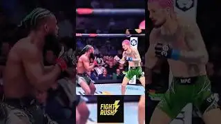 Sean O'Malley's TKO finish of former champion Aljamain Sterling #ufc #mma #seanomalley