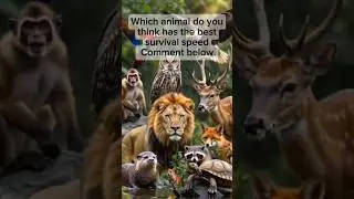 speed animals #animalfacts #animals #animallife #losangeles #facts #fyp