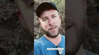 Hiking The Hurricane Falls Trail at Tallulah Gorge
