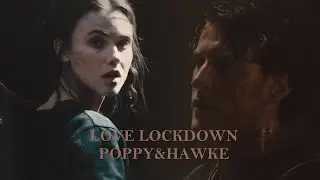 Poppy&Hawke | Love Lockdown