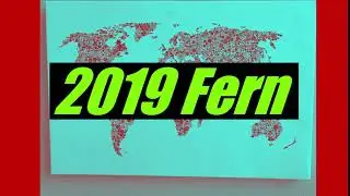 2019 Fern Medium
