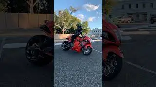#LightRoseGold x Nina |  2008 Custom Suzuki Hayabusa #shorts