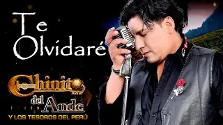♪ Te Olvidar&eacute; - Chinito Del Ande / Primicia #5 (2021-2022) Huayno con Requinto