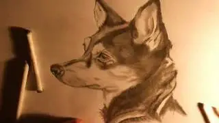 How to draw a  REALISTIC DOG - MUST SEE THIS!! FANTASTIC.wmv