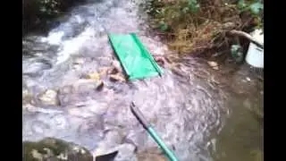 Gold Panning in Wicklow