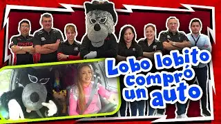 Lobo Lobito compra un auto nuevo