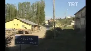 1980'lerde Alucra ve Şebinkarahisar (TRT Arşivi)