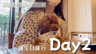 ホテルを出たくないと駄々をこねるトイプードルがこちら…笑