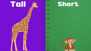 Tall and short concept for kindergarten | Opposites | Learning videos For Kids