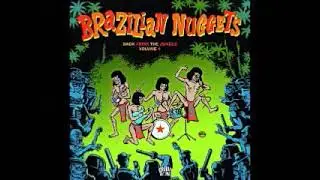 Various &ndash; Brazilian Nuggets - Back From The Jungle Volume 4 60's Garage Rock Fuzz Psychedelic ALBUM