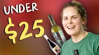 6 Cheap Wines YOU need to buy right now! (Blind Wine Tasting)