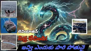 🔥Is the Flood Coming?🤯Whats Wrong In Oceans? | Doomsday Fish Oarfish