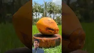 coconut cutting 🥥🌴 #fruit #coconut #coconutcutting #cuttingart #viral #shorts