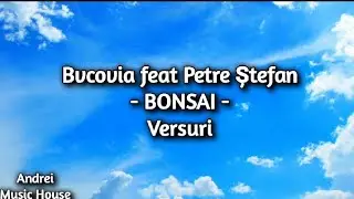 Bvcovia feat Petre Ștefan - Bonsai (versuri)