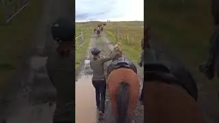 Iceland's Best Kept SECRET Horseback Adventure To Reynholar! 🇮🇸🐴