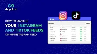 How to manage your Instagram and TikTok feeds on MP Instagram Feed