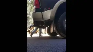 2012 Cummins 4