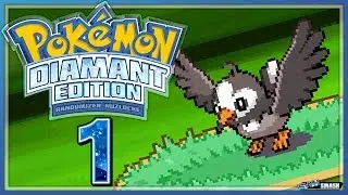 Let's Play Pokemon Diamant [Randomlocke/German] - #1 - Unser Starter ist...
